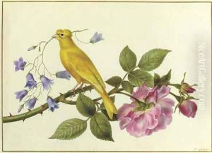 A canary perched on a the branch of a pink rose, carrying harebells in its beak by Pancrace Bessa