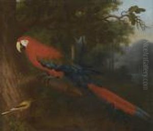 A Parrot And A Yellow Wagtail On A Branch by Jakob Bogdani Eperjes C