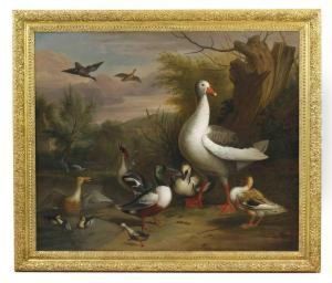 A Goose, Eider, Grebe And Other Fowl Beside A Pond by Jakob Bogdani Eperjes C