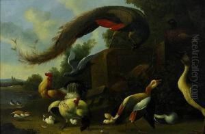 Exotic Birds In A Landscape