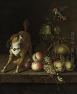A Dog, A Blue Tit And A Parakeet With Grapes, Peaches, Pears Andpumkins On A Ledge by Jakob Bogdani Eperjes C