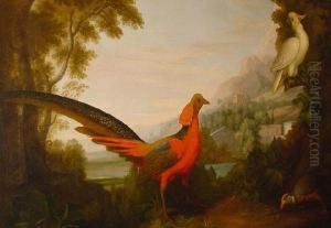 A Pheasant And Cockatoo In A Woodedlandscape