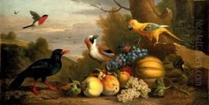 A Bullfinch, A Chough, A Jay And
 A Sun Conure With Quinces, Grapes And Melons In A Landscape