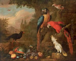 Ito Pappagalli E Altri Uccelli Nel Parco Di Un Castello