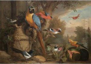 An Assembly Of Birds In A Parkland Setting, Including A Parrot, A Jay, And A Magpie
