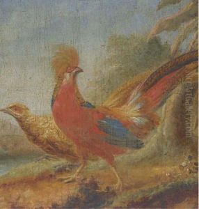 Couple De Faisans by Jakob Bogdani Eperjes C