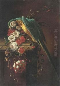 A Macaw On A Stone Ledge, With Poppies, Flowers And A Butterfly Tothe Side