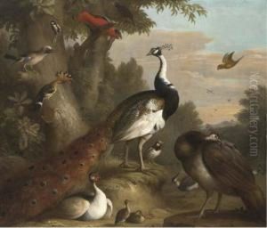 A Wooded Landscape With Peacocks And Other Birds In Theforeground