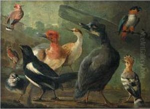 A Landscape With A Black-capped Caique Parrot, A Hoopoe, A Magpie And Other Birds