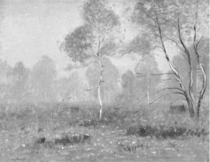 Landscape Landscape