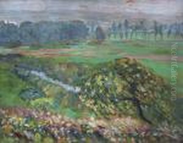Krajina S Rickou - view 1