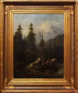 Z Tyrol by Eduard Boehm