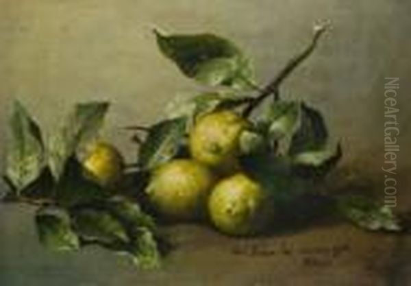 Stilleben Mit Zitrusfruchten - view 1
