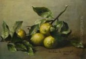 Stilleben Mit Zitrusfruchten by Pal Bohm