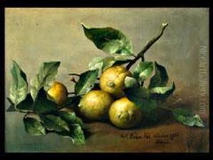 Zitronen-stilleben by Pal Bohm