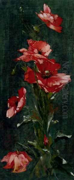 Japanese Anemones - view 1