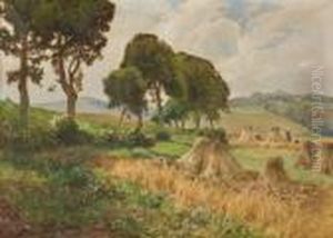 Kornernte In Der Eifel