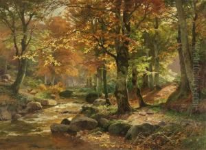 Waldlandschaft Mit Rehen