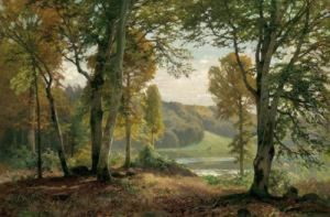 Forest Edge With A Lake View