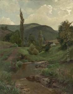 Bachlauf In Der Eifel