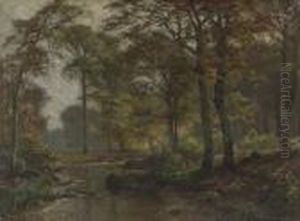 Herbstliche Waldlichtung Mit Bach Und Rehwild
