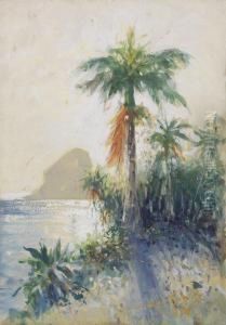 Rio Dejaneiro, 
Blick Auf Denzuckerhut by Hans Bohrdt