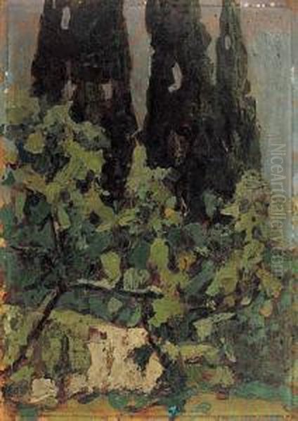 Cyprysy I Oliwki, 1932 R. - view 1