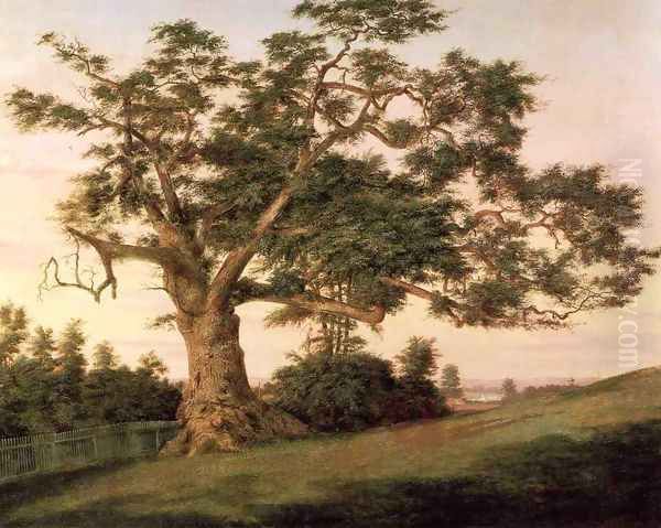 The Charter Oak - view 1