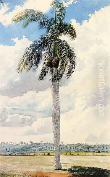 Royal Palm - view 1