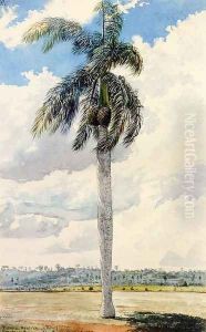 Royal Palm by Charles DeWolf Brownell