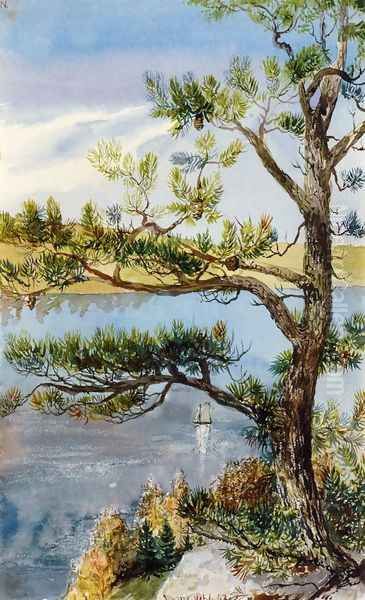 Tree and Sailboat, Lyme, Connecticut - view 1