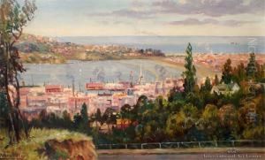 Dunedin by William Allen Bollard