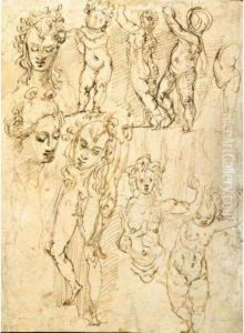 Studi Di Putti E Di Teste Di Figura E Parti Anatomiche by Perino Del Vaga (Pietro Bonaccors