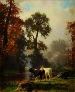 Le Troupeau Au Bord De La Riviere
