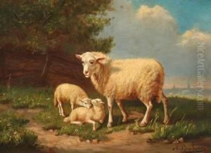 Landschaft Mit Schaf Und Zwei Lammern