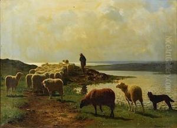Troupeau De Moutons En Bord De Mer - view 1