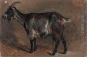 La Chevre by Auguste Bonheur
