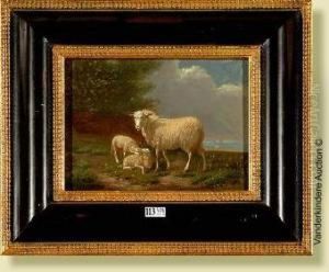 Moutons Au Pre by Auguste Bonheur