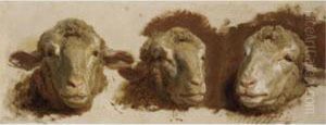 Study Of Three Sheep Heads by Auguste Bonheur