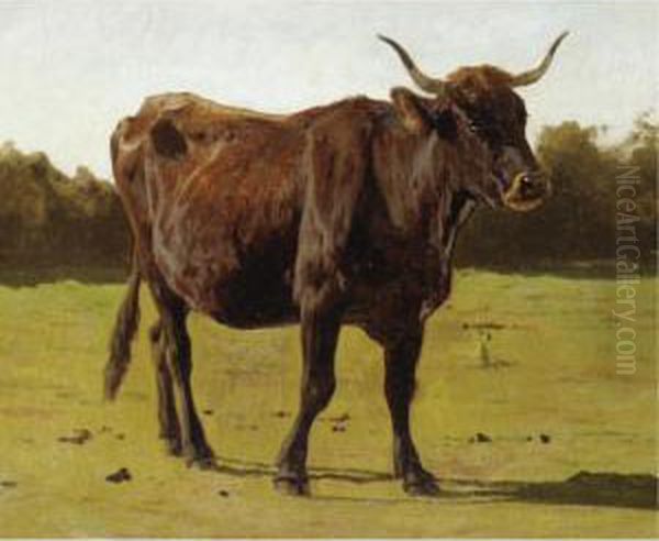 A Cow Grazing In A Meadow - view 1