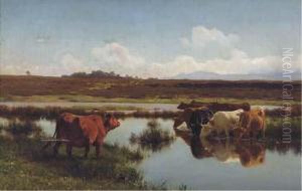 Cattle Watering At A Stream - view 1