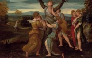 The Birth Of Adonis