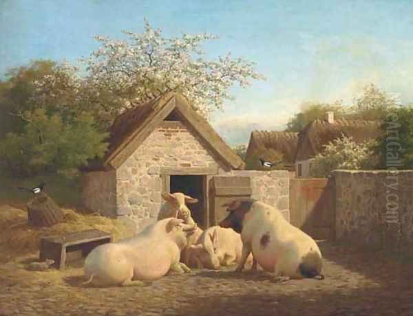 Animal farm - view 1