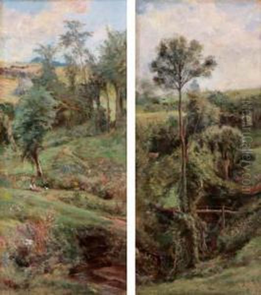 Paesaggio - view 1