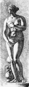 The Medici Venus 1669 by Jan de Bisschop