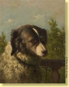 Chien Berger A La Barriere by Willem Jacobus Boogaard