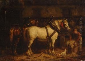 Stable Interior