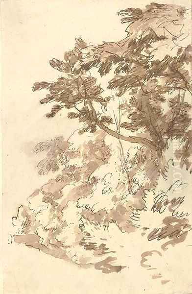 Trees and undergrowth - view 1