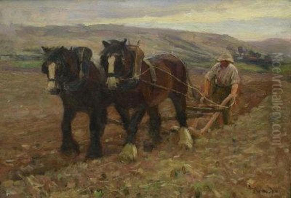 Ploughing - view 1