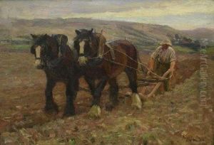 Ploughing